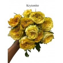 Krytonite 