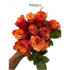 Whiskey