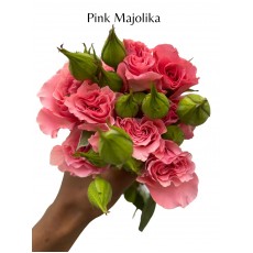 Pink Majolika 