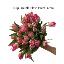 Tulip - Flash Point 