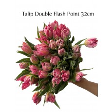 Tulip - Flash Point 
