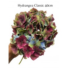 Hydrangea  Classic 40cm
