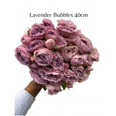 Lavender Bubbles