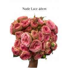 Nude Lace 40cm
