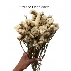 Dried Stratice- Bleached 