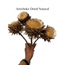 Dried Artichoke Natural 