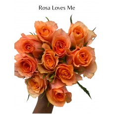 Rosa Loves Me