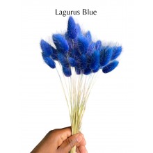 Preserved Lagurus - Blue