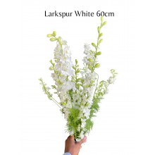 Larkspur White (Seasonal) Larkspur White (Seasonal)