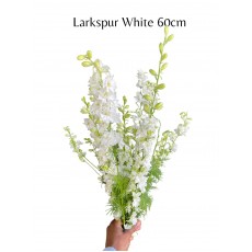 Larkspur White (Seasonal)