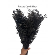 Preserved Black Ruscus 