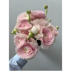 Ranunculus Clooney Hanoi 