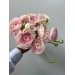 Ranunculus Clooney Hanoi 