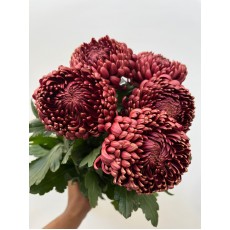 Chrysanthemum - Bigoudi Red 75cm 