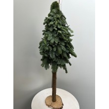 Christmas Tree Nobilis on Stand Height 115cm (real tree) 