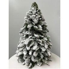 Christmas Tree with Snow Nobilis 40 cm Height (real tree)