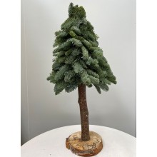 Christmas Tree Nobilis 60cm Height (real tree) 