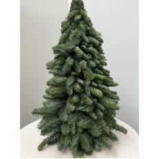 Christmas Tree Nobilis 60 cm Height (real tree)