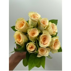 Cream Dream Small Heads