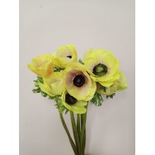 Anemone Powder Green