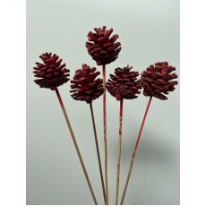 Pine Cone Wax- Red