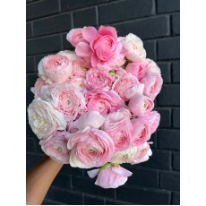 Ranunculus Light Pink (Standard)