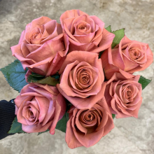 Berista Roses Berista Roses