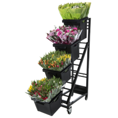 Procono Pico Flower Display