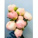 Peony - Kingsday Peach 55cm