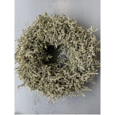Wreath Asparagus Wax White Silver Glitter 60cm