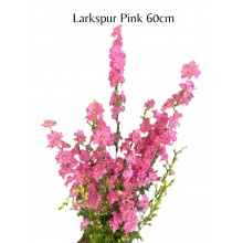 Larkspur Pink (Seasonal)