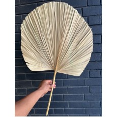 Dried Palm Round Shape Natural