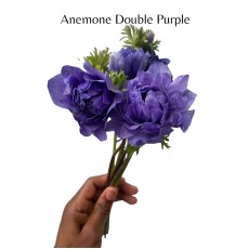 Anemone Mix Double Large 