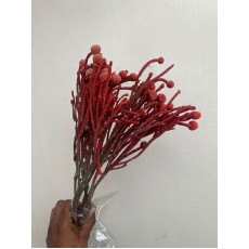 Dried Brunia - Light Red