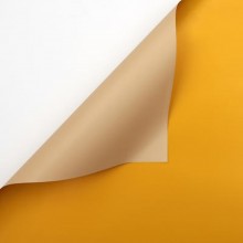 Wrapping Paper - Ange + Orange Buttercup