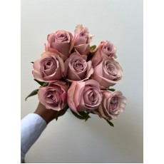 Silver Plate Silver Plate