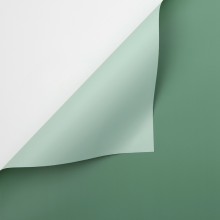 Wrapping Paper - Pastel Green Sage 