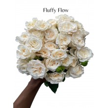 Fluffy Flow
