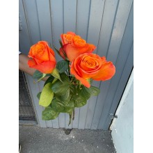 Confidential Long Stems Roses 1.1cm - Orange 