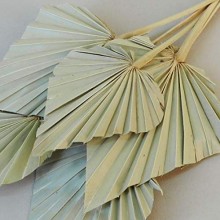 Dried Palm Spear Medium Natural 