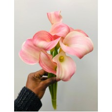 Calla Captain Melrose / Pink 50cm 