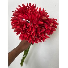 Gerbera Red 