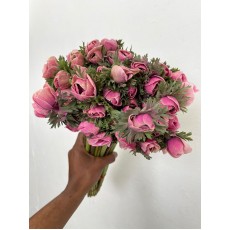 Anemone Mariane Powder Pink 