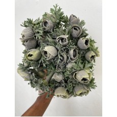 Anemone Mariane Powder Grey 