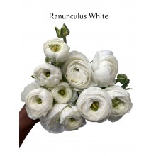 Ranunculus White (Seasonal)