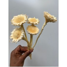 Dried specials - White Honey 