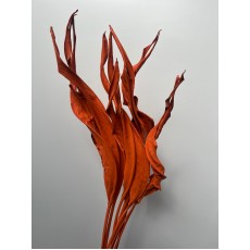 Dried Strelitzia Leaf Orange Metal 