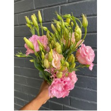 Lisianthus Super Magic Champagne Vanderfax