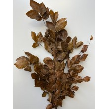 Pastacia Leaves 45cm