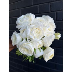 Ranunculus Elegance White
